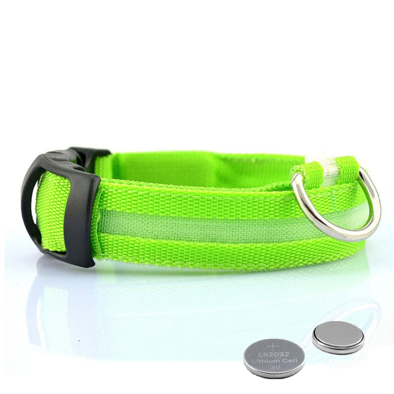 LED Dog Collar - GlowCollar