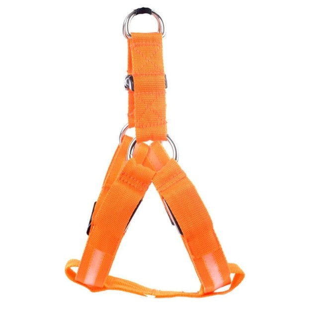 LED Dog Harness - Glow&amp;Go