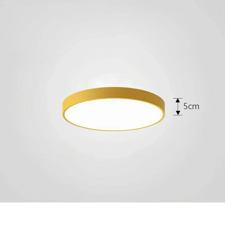 Ceiling Light ChromaCraft