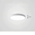 Ceiling Light ChromaCraft
