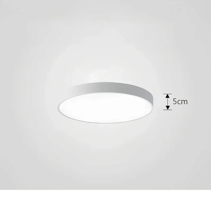 Ceiling Light ChromaCraft