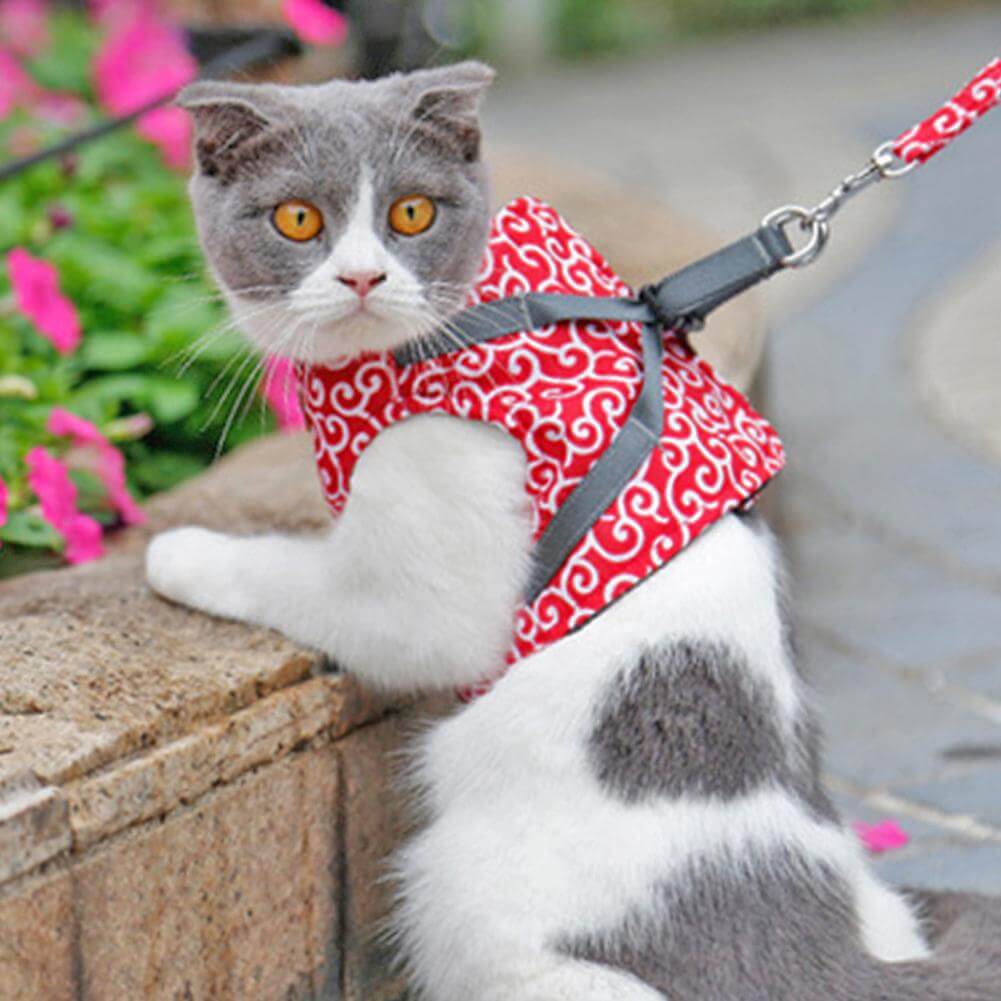 PAWVENTURE HARNESS – Cat Harness Vest Set with Breathable Mesh &amp; Leash