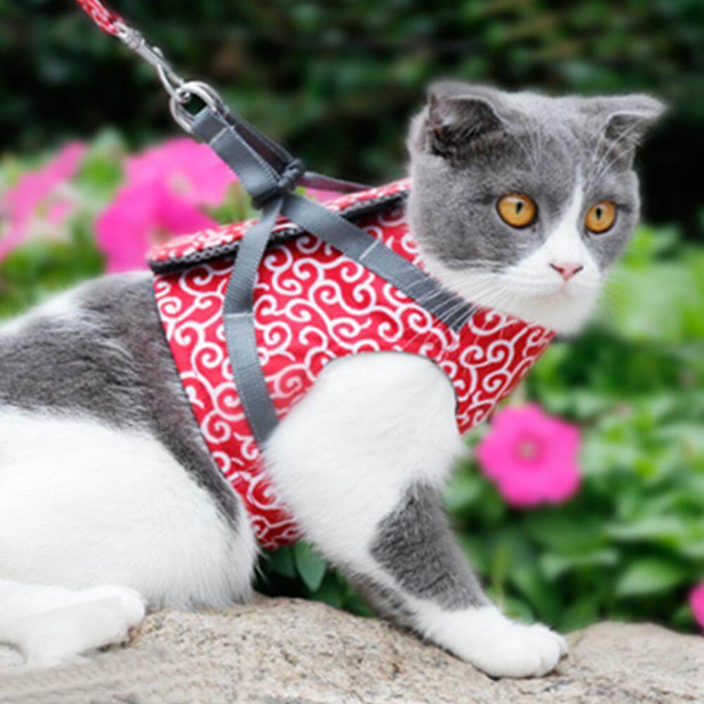 PAWVENTURE HARNESS – Cat Harness Vest Set with Breathable Mesh &amp; Leash
