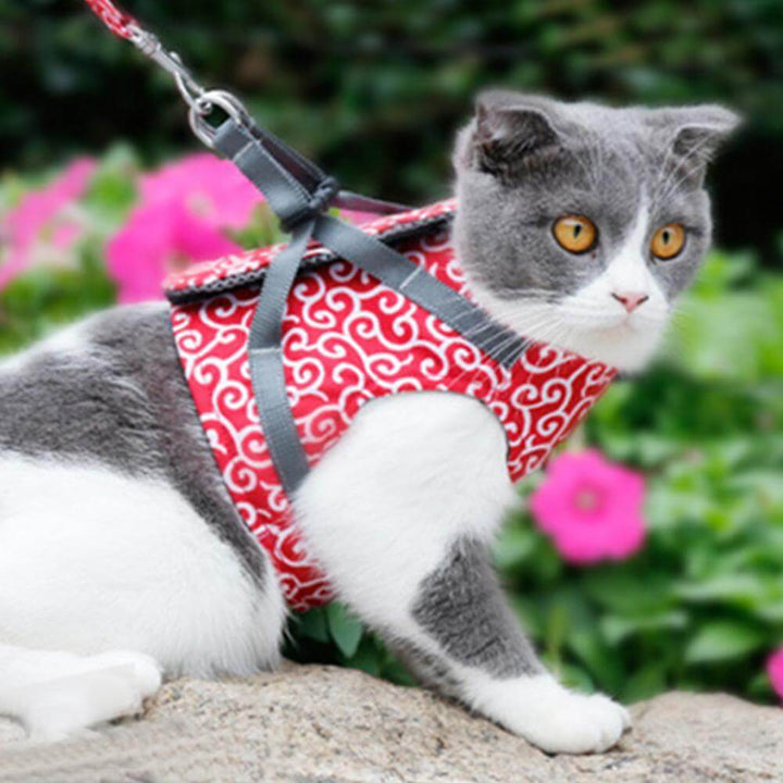 PAWVENTURE HARNESS – Cat Harness Vest Set with Breathable Mesh &amp; Leash