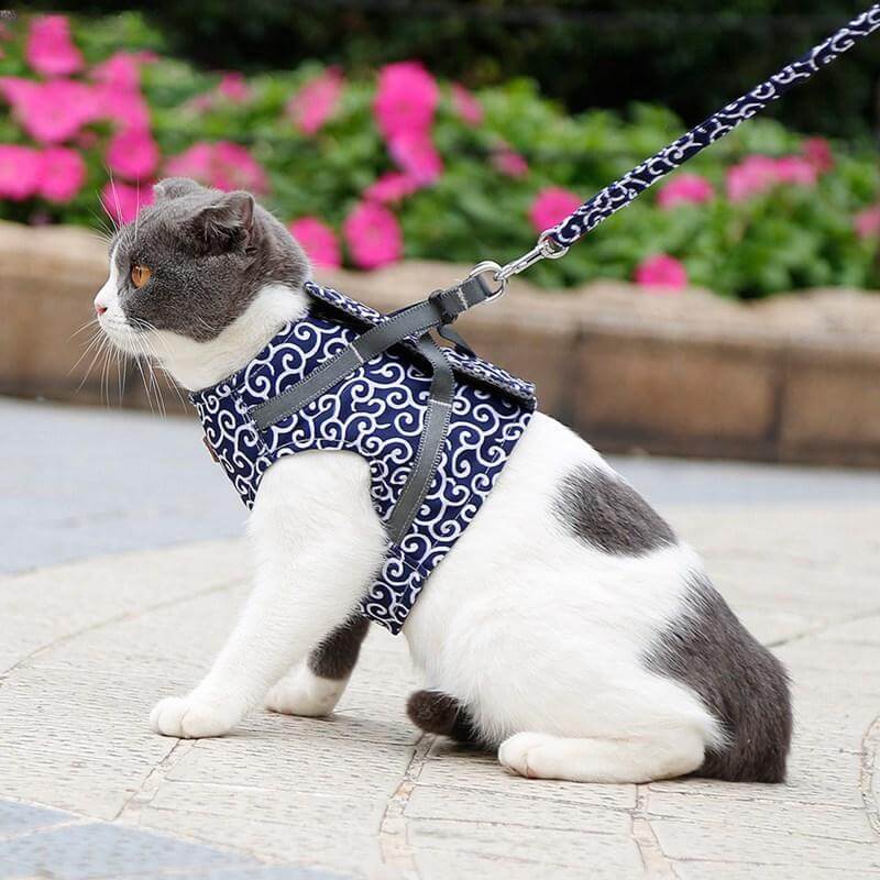 PAWVENTURE HARNESS – Cat Harness Vest Set with Breathable Mesh &amp; Leash