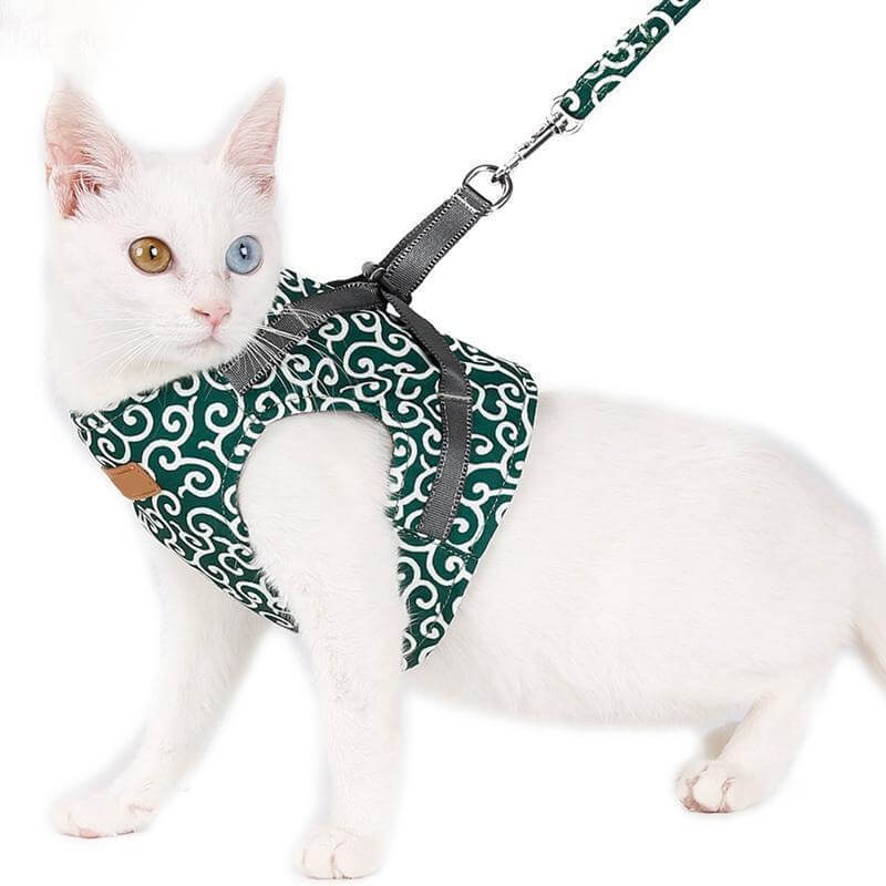 PAWVENTURE HARNESS – Cat Harness Vest Set with Breathable Mesh &amp; Leash