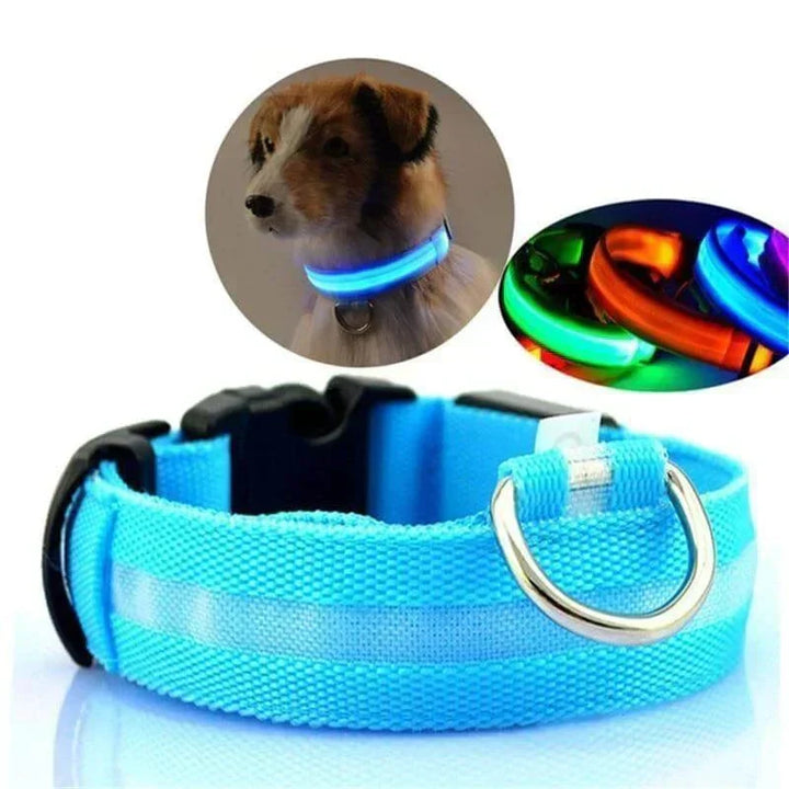 GlowPets LED Collar – Safety &amp; Visibility for Pets
