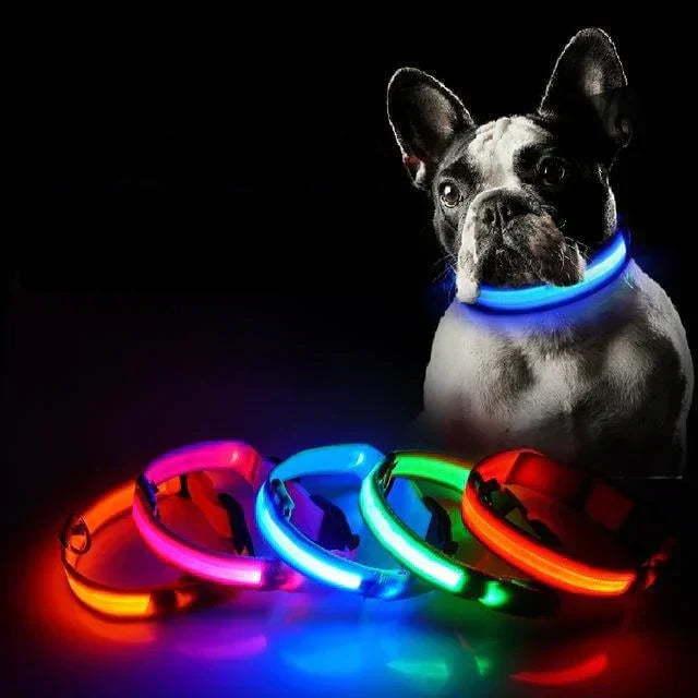 GlowPets LED Collar – Safety &amp; Visibility for Pets