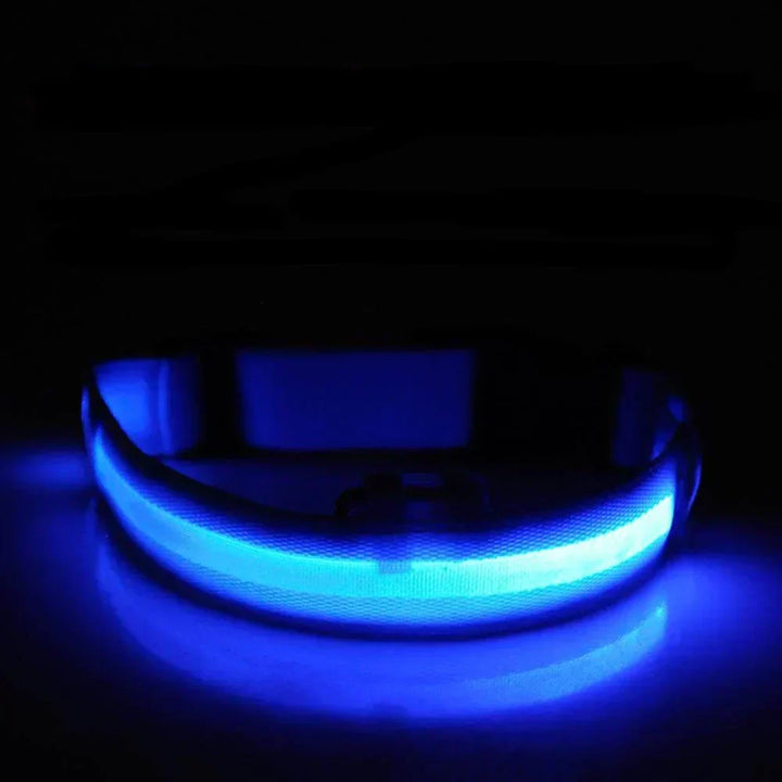 GlowPets LED Collar – Safety &amp; Visibility for Pets