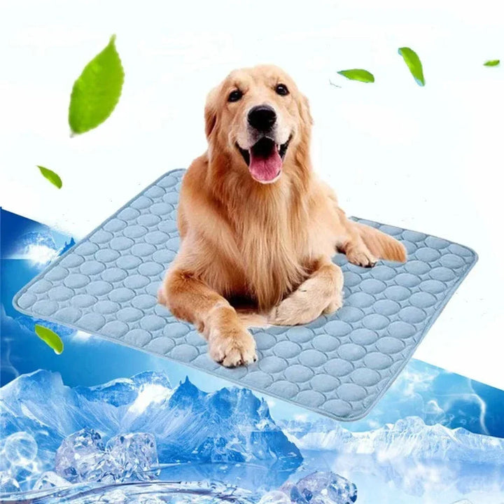 Dog Cooling Mat Summer Pad for Dogs Cat Blanket Breathable Dog Bed Kennel Puppy Sleeping Sofa Cushion Dog Accessories |