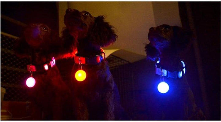 LED Flash Dog Collar Pendant |