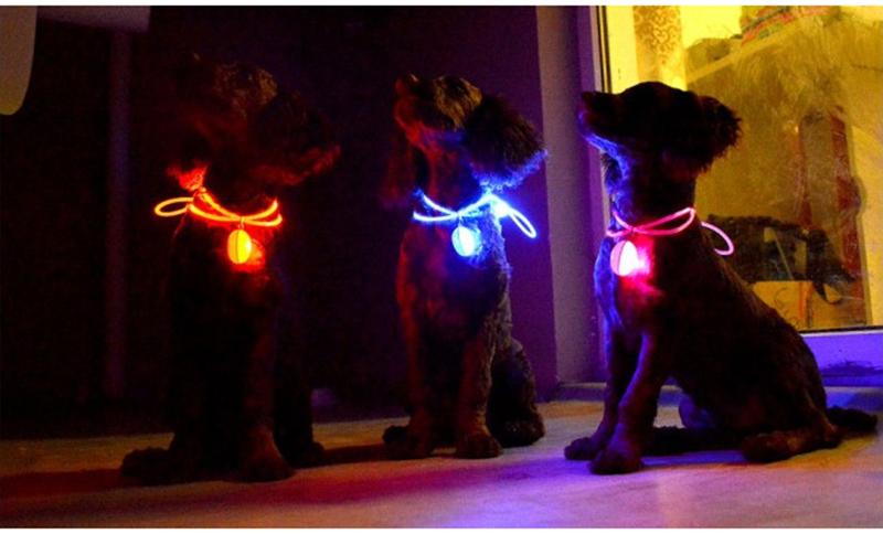 LED Flash Dog Collar Pendant |