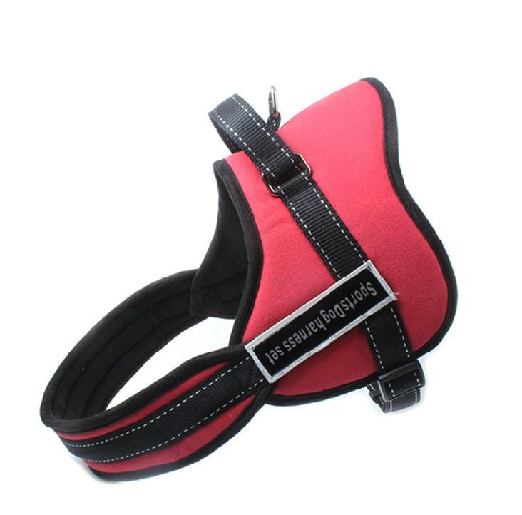 Dog Walking Harness |