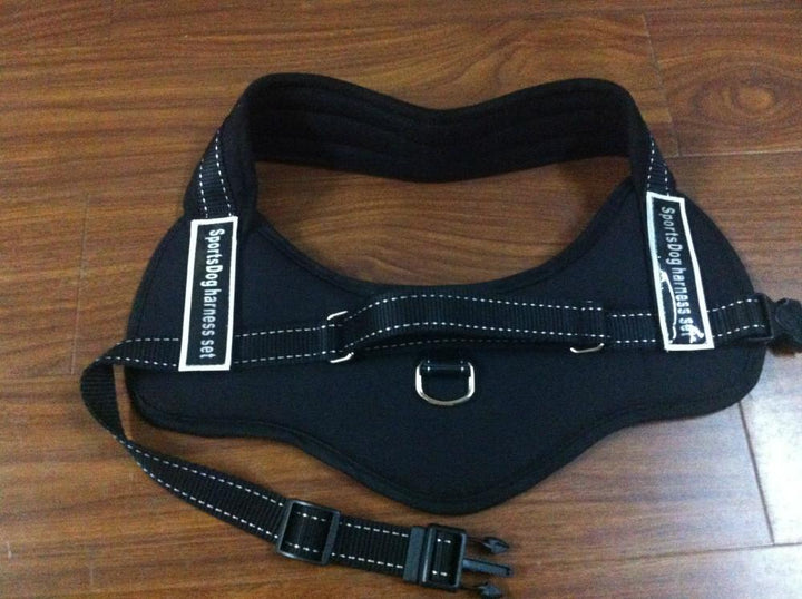 Dog Walking Harness |