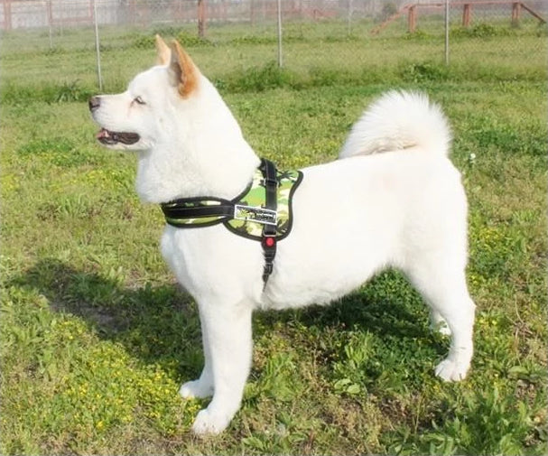 Dog Walking Harness |