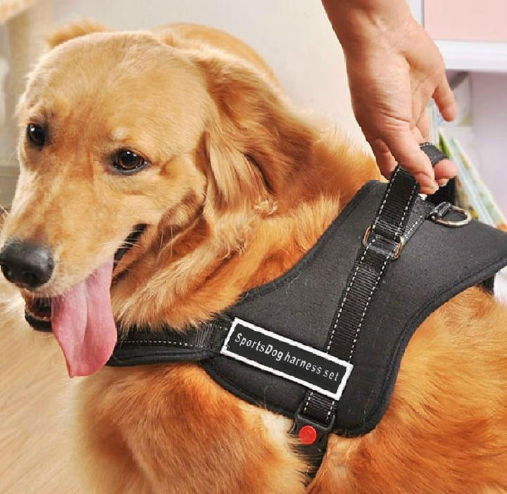 Dog Walking Harness |