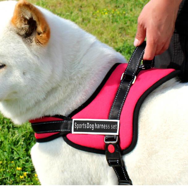 Dog Walking Harness |