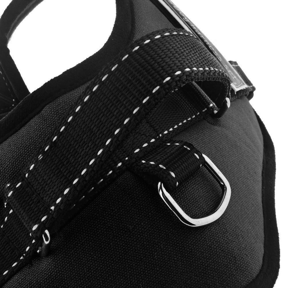 Dog Walking Harness |