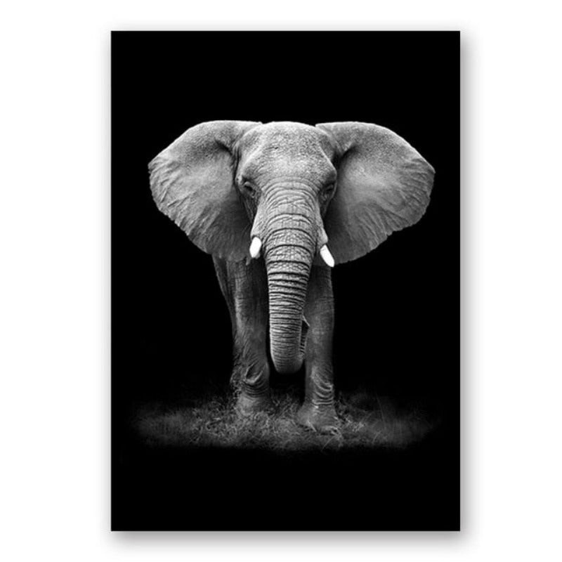 Nature Wild Animals Africa Wildlife Black White - Canvas Wall Art Painting