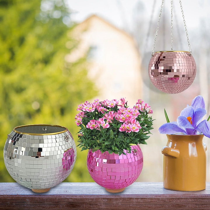 Disco Ball Plant