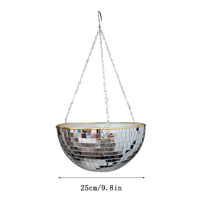 Disco Ball Plant