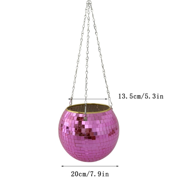 Disco Ball Plant