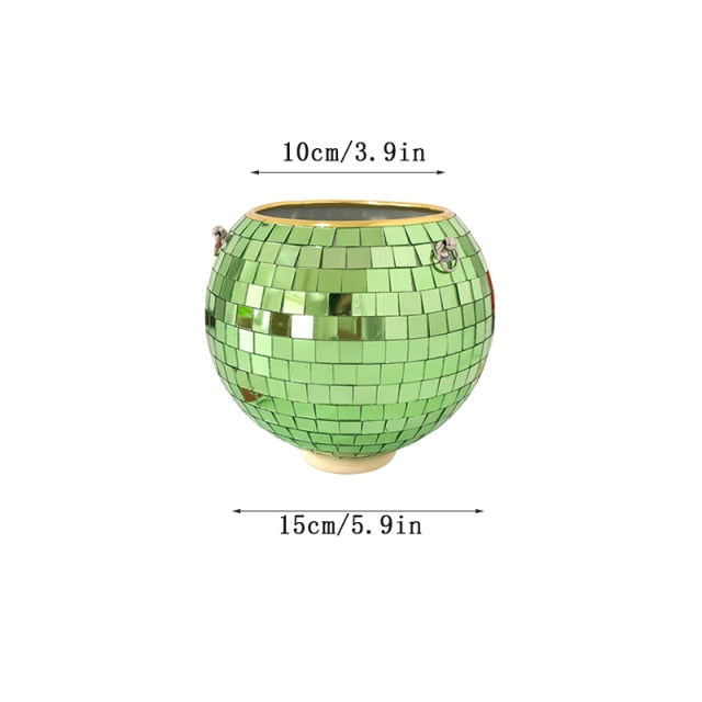 Disco Ball Plant