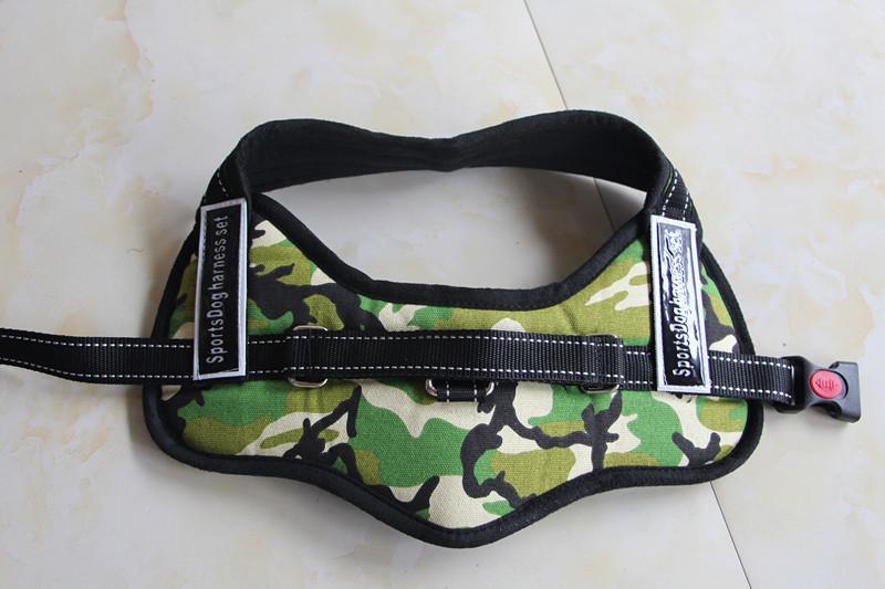 Dog Walking Harness |