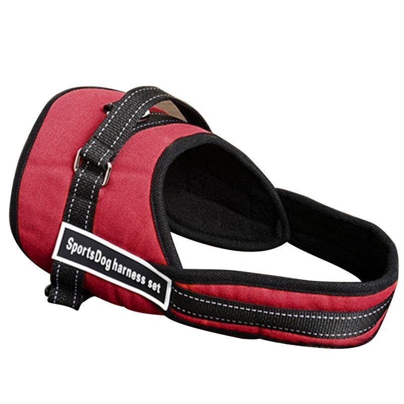 Dog Walking Harness |