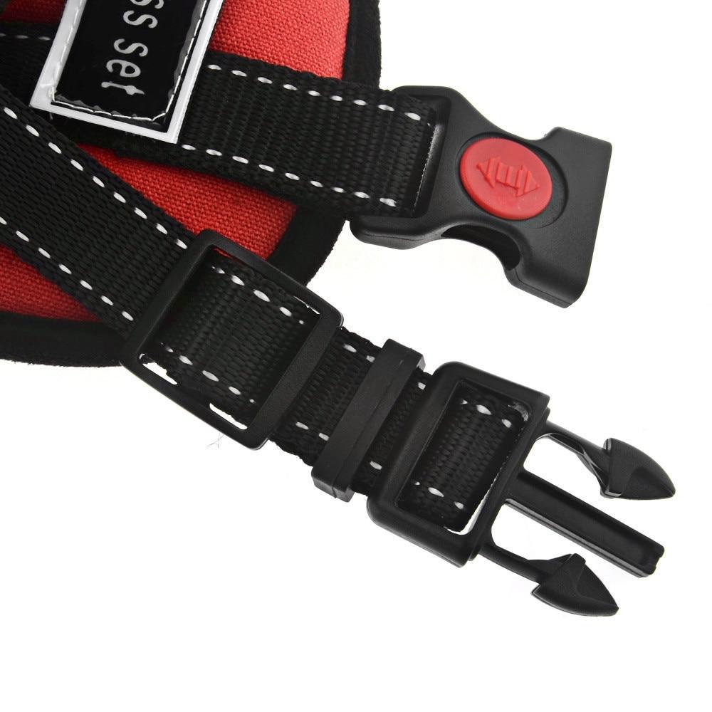 Dog Walking Harness |