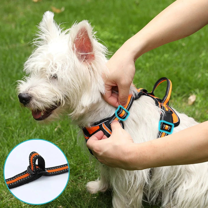 ReflectaGuard •  No Pull Dog Harness