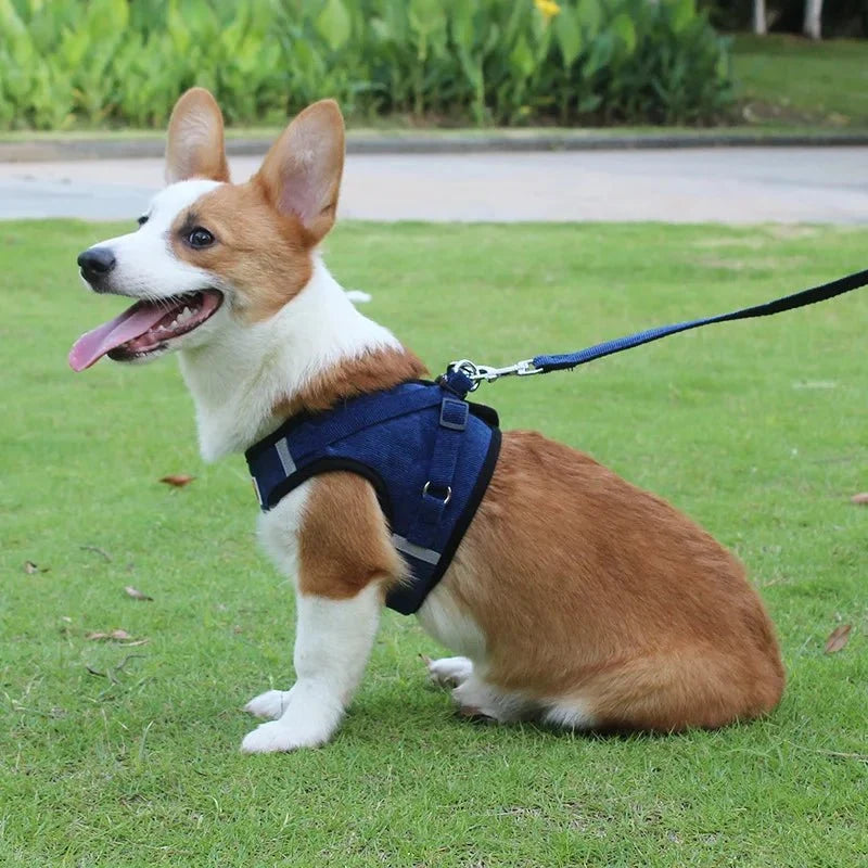 ReflectaHarness • No Pull Dog Harness