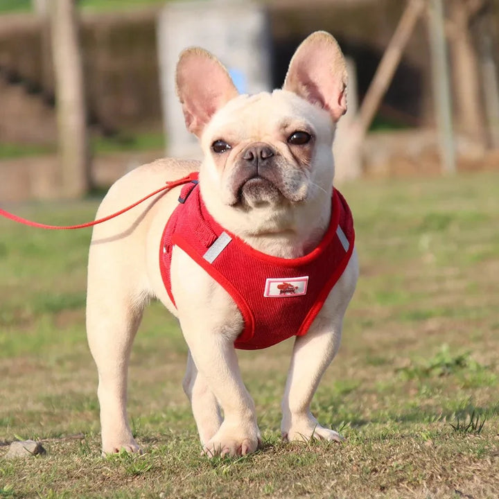 ReflectaHarness • No Pull Dog Harness