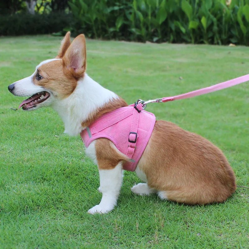 ReflectaHarness • No Pull Dog Harness