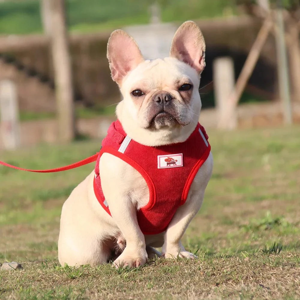 ReflectaHarness • No Pull Dog Harness