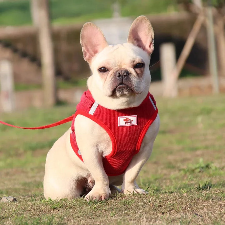 ReflectaHarness • No Pull Dog Harness