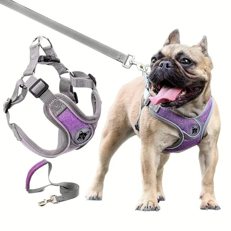 ReflectoLeash •  No Pull Dog Harness