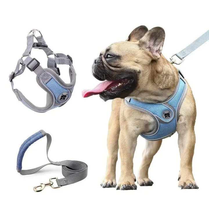 ReflectoLeash •  No Pull Dog Harness