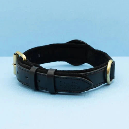 SafeTrack • Premium AirTag Dog Collar