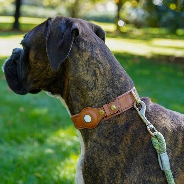 SafeTrack • Premium AirTag Dog Collar