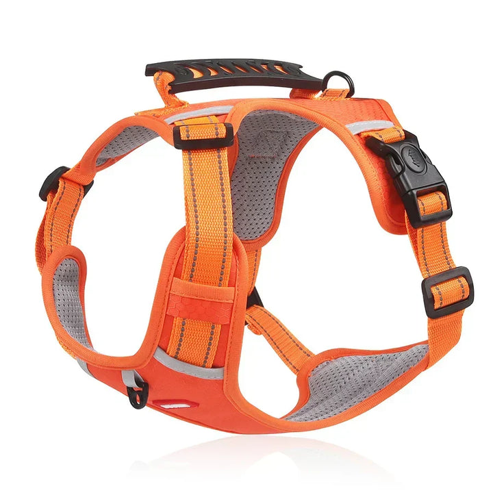 Sturdy &amp; Comfortable Dog Harness - ActivePup™