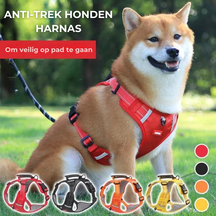 Sturdy &amp; Comfortable Dog Harness - ActivePup™