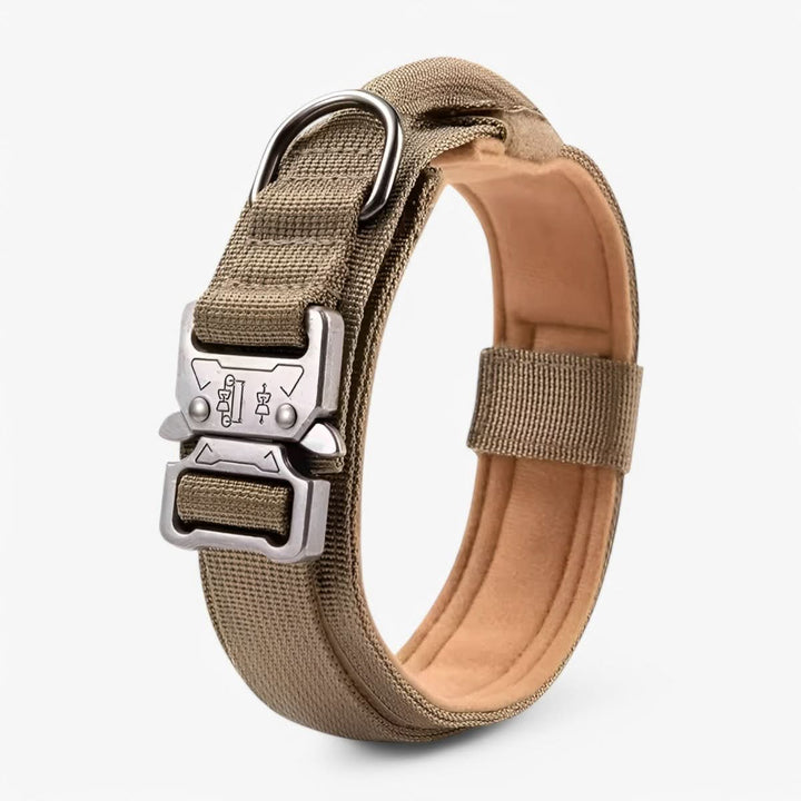 Adjustable Dog Collar Set for Adventures and Daily Training
