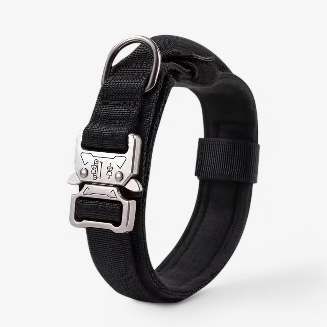 Adjustable Dog Collar Set for Adventures and Daily Training