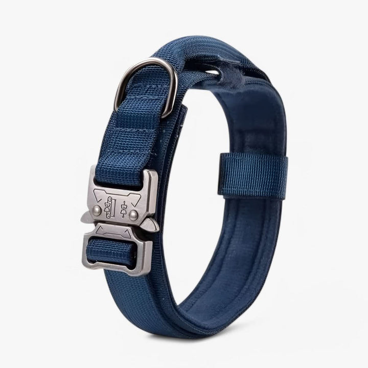 Adjustable Dog Collar Set for Adventures and Daily Training