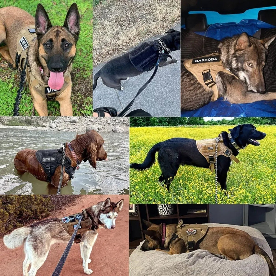 Guardian K9 – Adjustable Dog Training Harness with Control Handle