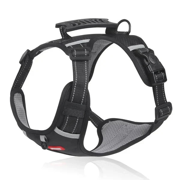 WalkEase Harness – Anti-pull dog harness for relaxed walks &amp; healthy posture