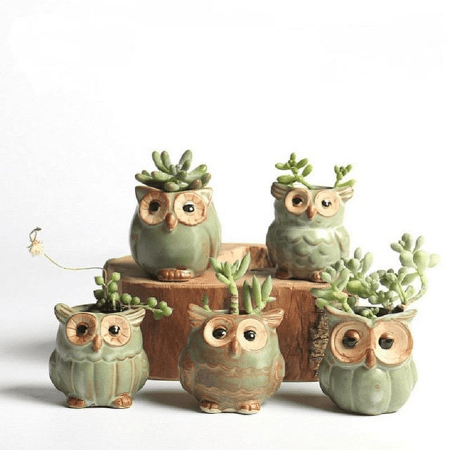 Owls Ceramic Flower Pot Set 5-piece