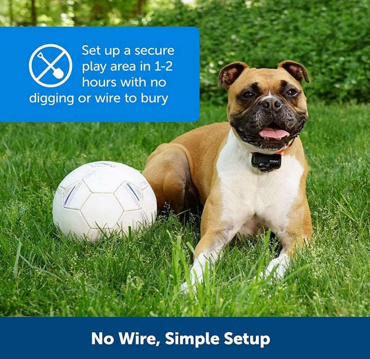 Wireless Dog Fence Collar System | Waterproof, Rechargeable &amp; Ideal for Home Training and Outdoor Adventures