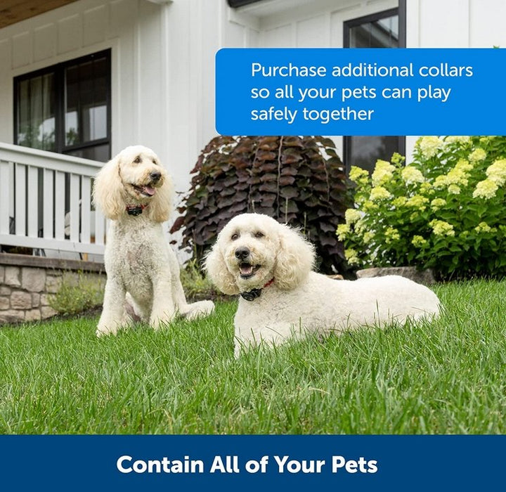 Wireless Dog Fence Collar System | Waterproof, Rechargeable &amp; Ideal for Home Training and Outdoor Adventures